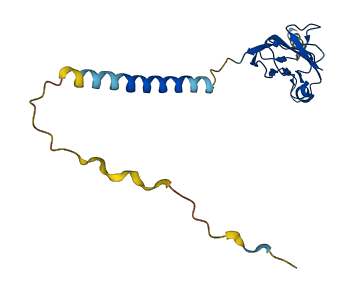 NCR3 3D structure