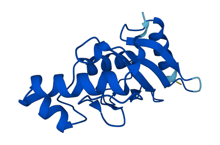 UBE2L6 3D structure