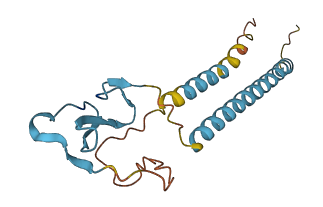EREG 3D structure
