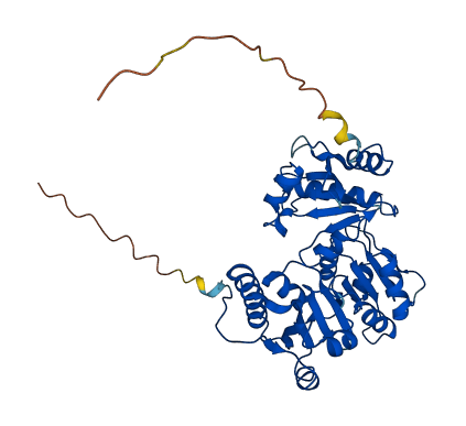CASQ2 3D structure