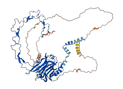 CLGN 3D structure