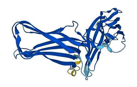 VPS26C 3D structure