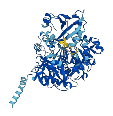 SLC27A2 3D structure