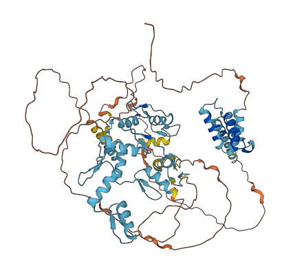 ZNF263 3D structure