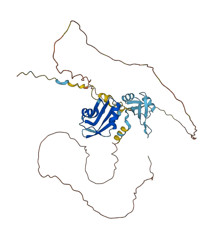 HNRNPDL 3D structure