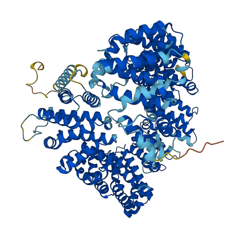 XPO1 3D structure