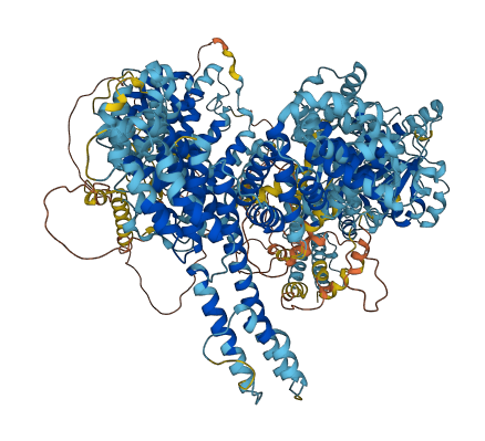 BTAF1 3D structure