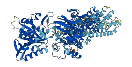 ATP2A1 3D structure