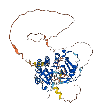 PIP5K1B 3D structure