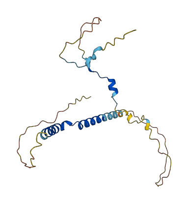 PPP1R2C 3D structure