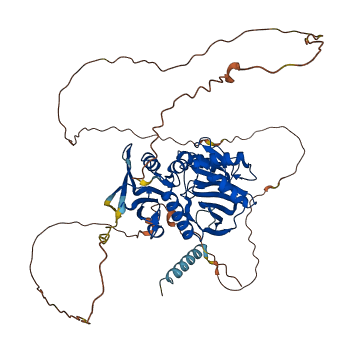 SYN3 3D structure