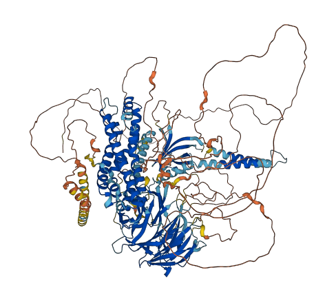 ARHGEF10 3D structure