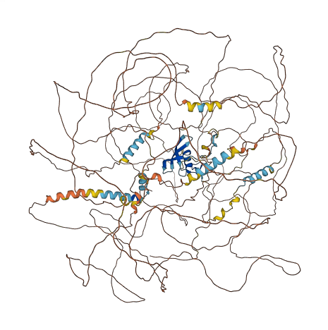 ZNF609 3D structure