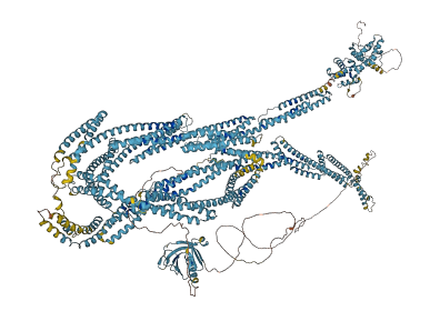 SPTBN2 3D structure
