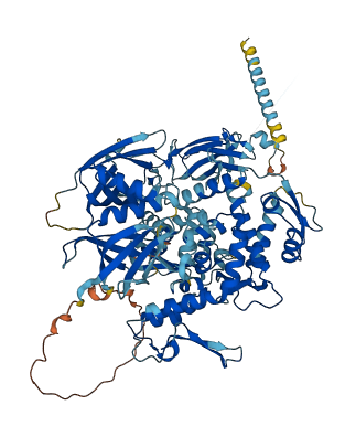AREL1 3D structure