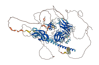 RIMBP2 3D structure