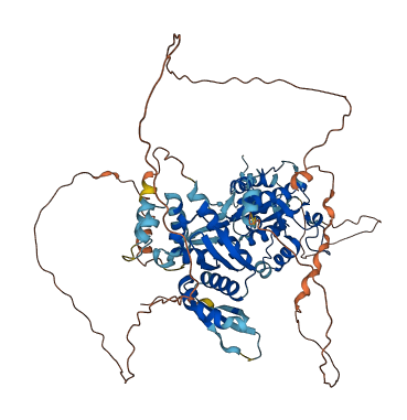 KHNYN 3D structure