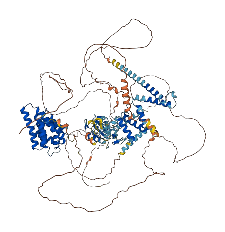 U2SURP 3D structure