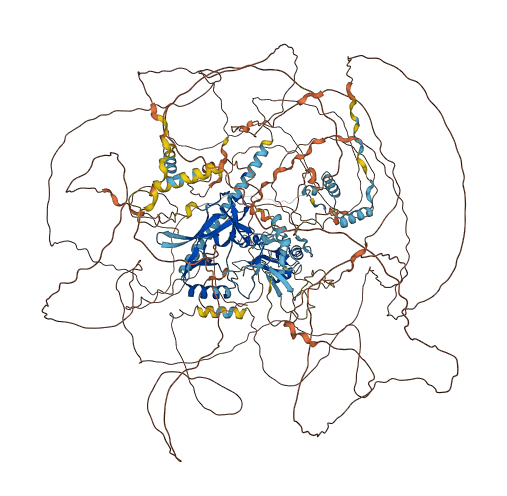SETD1A 3D structure