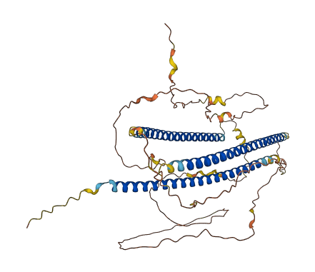 N4BP3 3D structure