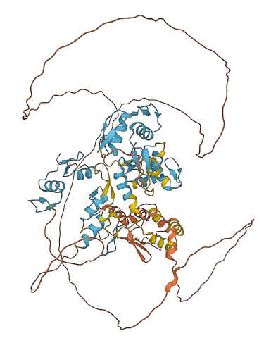 ZBTB39 3D structure