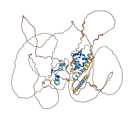 ZBTB5 3D structure
