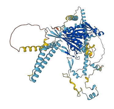 KIF3B 3D structure