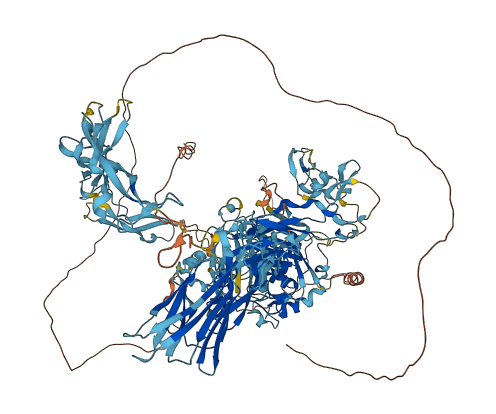 ADAMTS3 3D structure