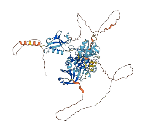 DCLK1 3D structure