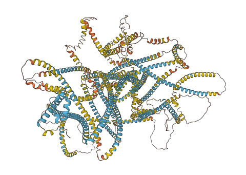 CEP290 3D structure
