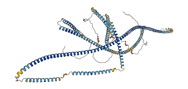 ERC2 3D structure