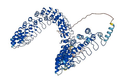 ANKRD28 3D structure