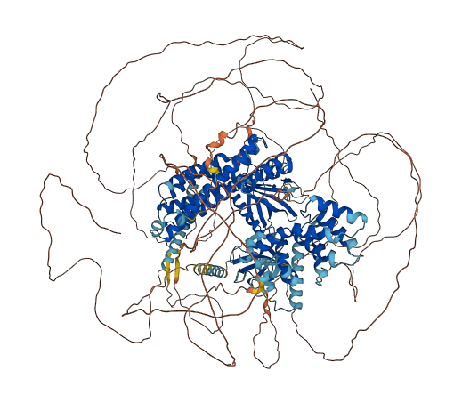 ARHGEF11 3D structure