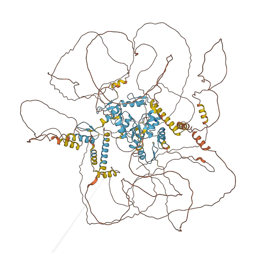 ZNF536 3D structure