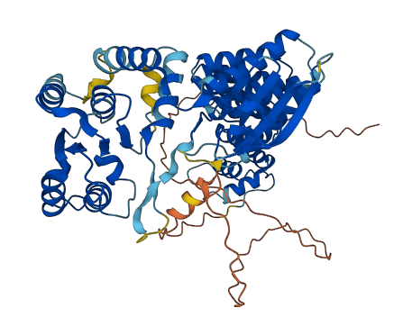 PRORP 3D structure