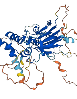 SMAD7 3D structure