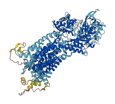 NPC1 3D structure