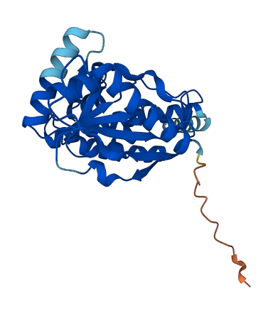 AGPAT2 3D structure