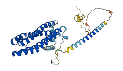 SCAMP1 3D structure