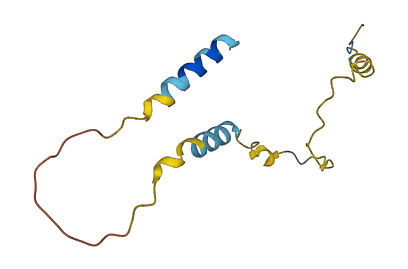 NPFF 3D structure