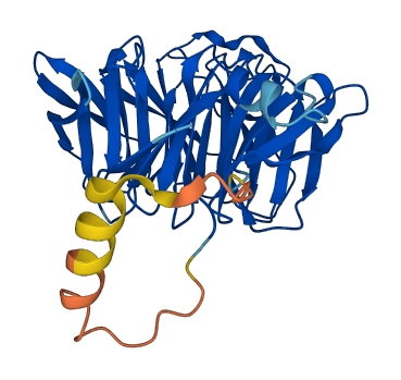 ARPC1B 3D structure