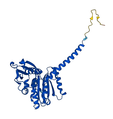 ARPC2 3D structure