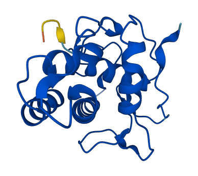 ARPC3 3D structure