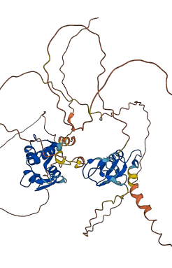 MDM4 3D structure
