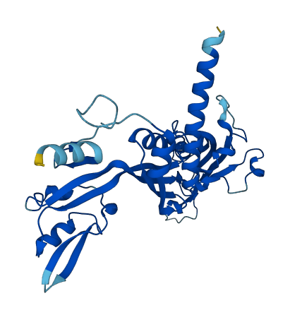 POLR1C 3D structure