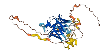 PLSCR1 3D structure