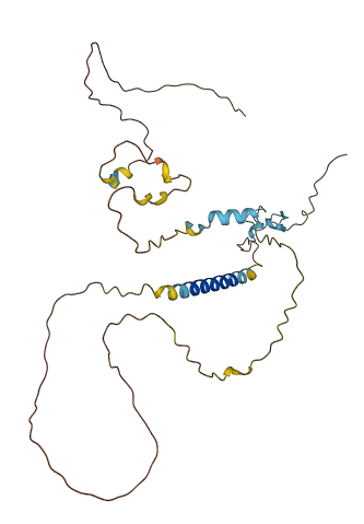 LDLRAD4 3D structure