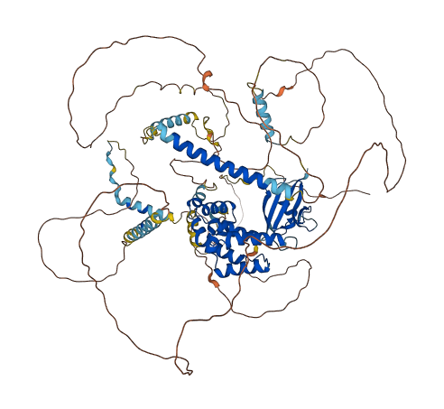 AXIN1 3D structure