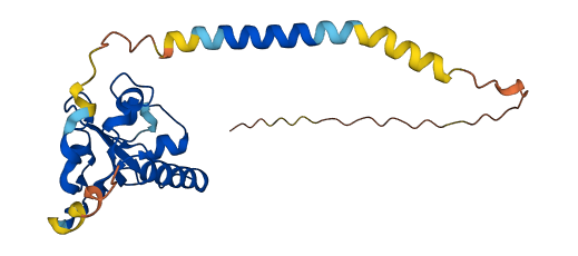 PGRMC2 3D structure
