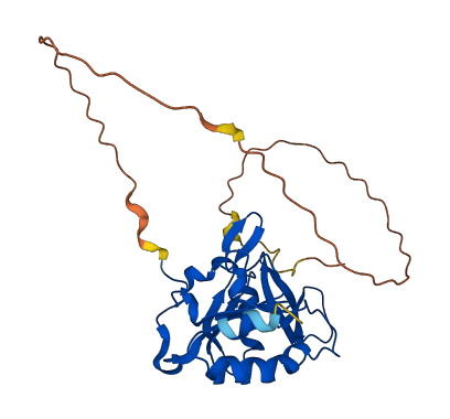 CTDSPL 3D structure
